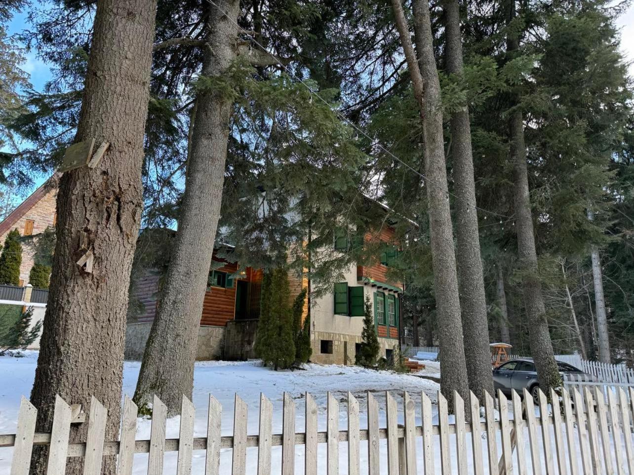 Villa Adis With Hot Pool & Jacuzzi By Bookvillabg Borovets Exterior photo